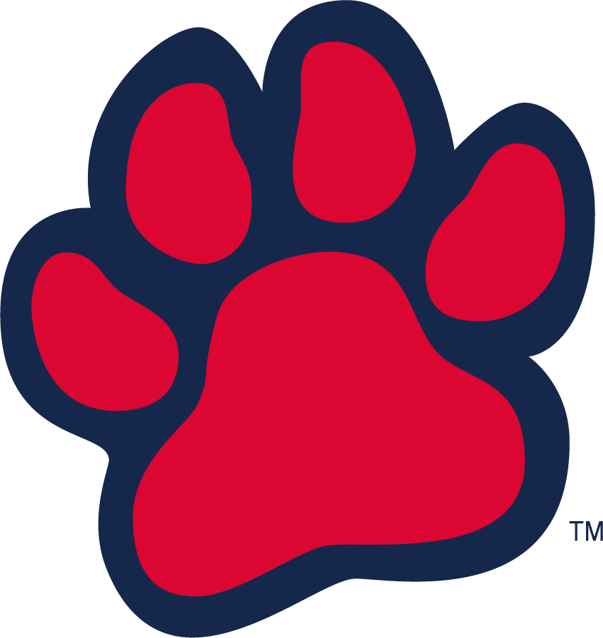 Fresno State Bulldogs 2016-2020 Alternate Logo iron on transfers for T-shirts